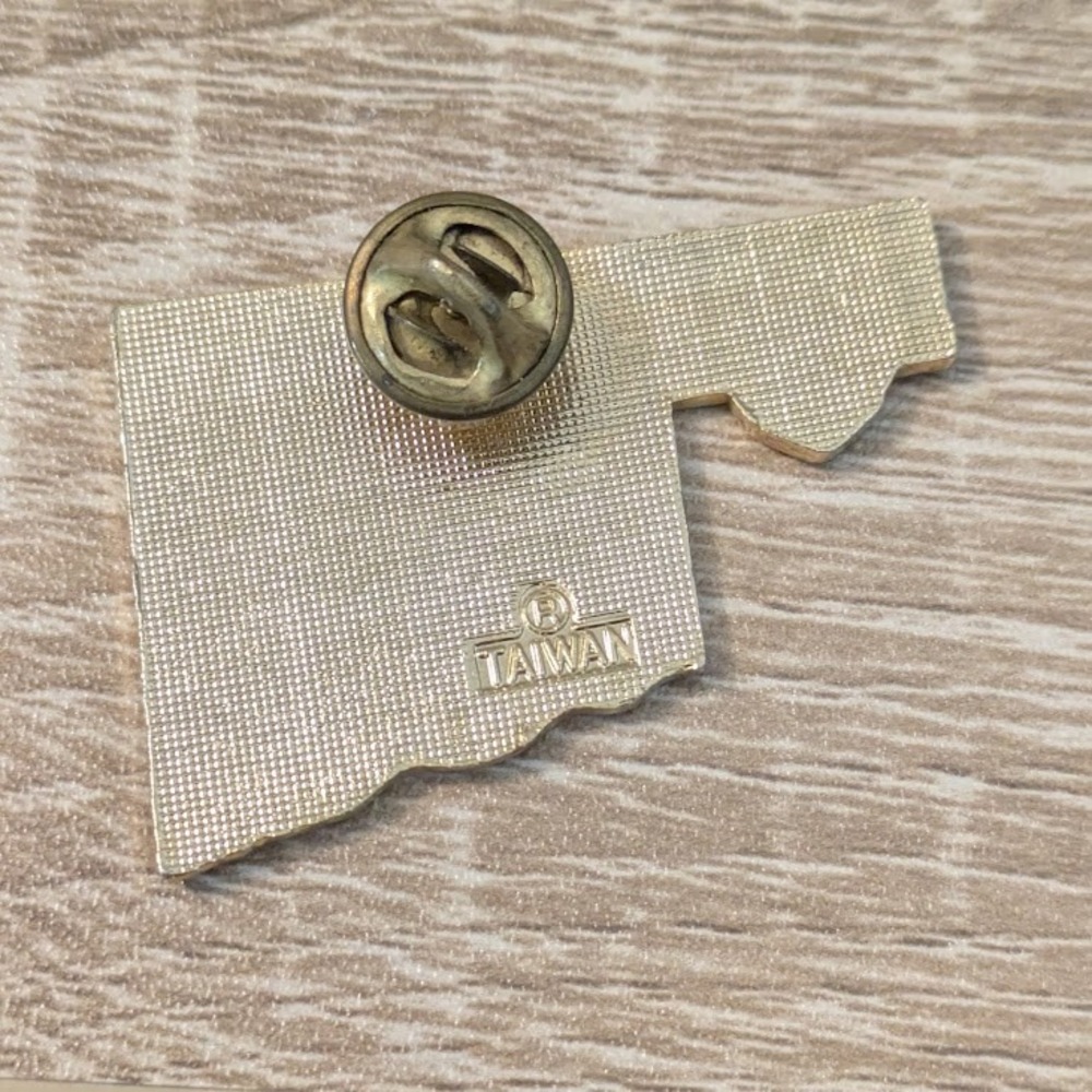 Lions Club Oklahoma Will Rogers I Never Met A Man I Didn't Like Lapel Pin - Picture 2 of 2